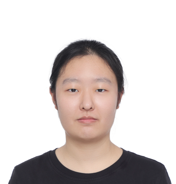 Sicheng Jing