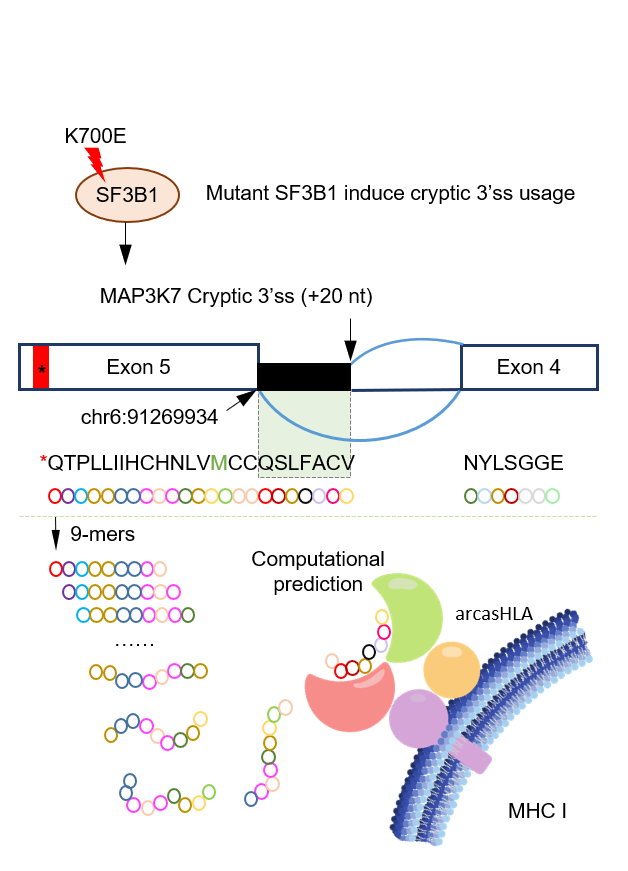 Precision Medicine